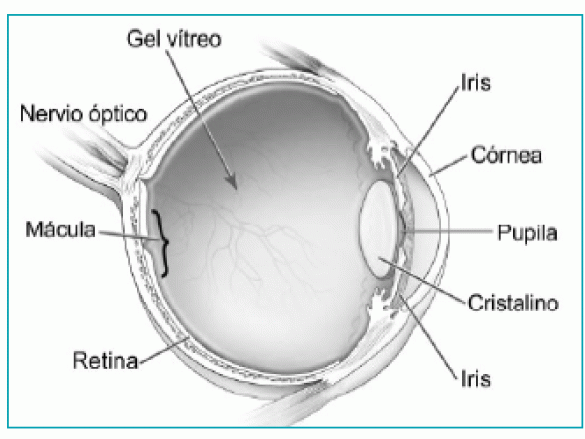 ¿Qué es la retinopatía diabética?