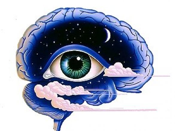 La visión en el cerebro