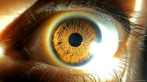 dilatacion de pupilas