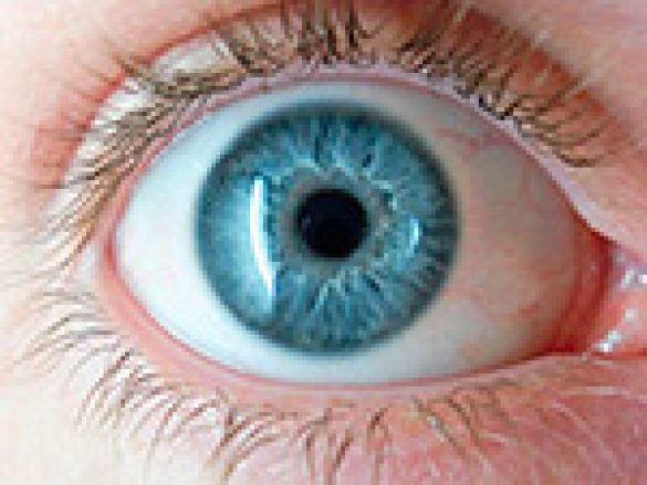 El color de ojos