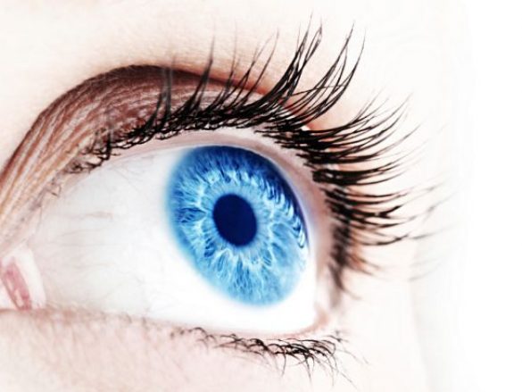 Funcionamiento del ojo