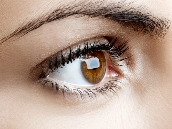 ¿Qué es la Esclera?