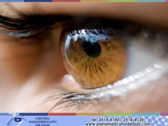 Obesidad, diabetes y enfermedades visuales
