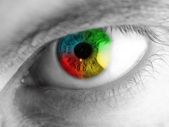Daltonismo “la ceguera del color”