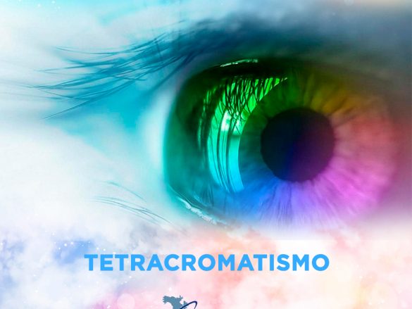 ¿Qué es el tetracromatismo y qué significa?