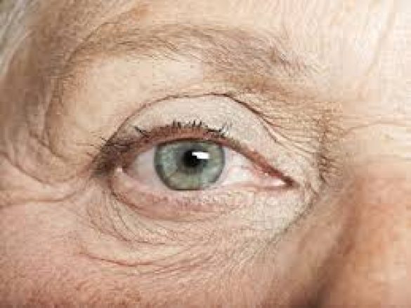 La retina. ¿Dónde se encuentra y cuál es su función?