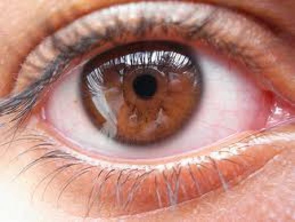 ¿Por qué son tan importantes los ojos?