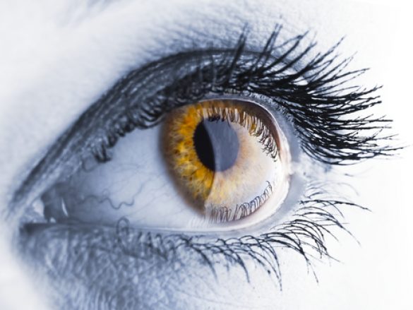 ¿Qué es la Retinosis Pigmentaria?