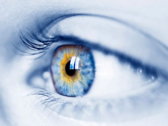 La Retinitis Pigmentaria