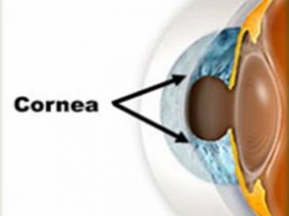 ¿Qué es la córnea?