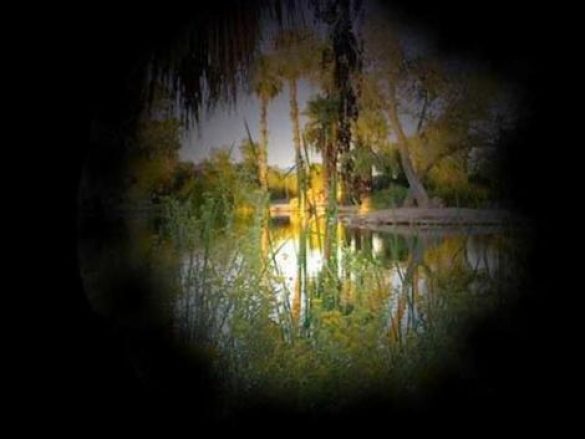 Visión de Túnel del Síndrome de Usher