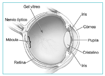 ¿Qué es la retinopatía diabética?