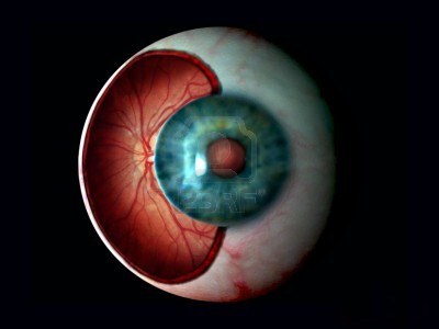 ¿Qué es la retina?