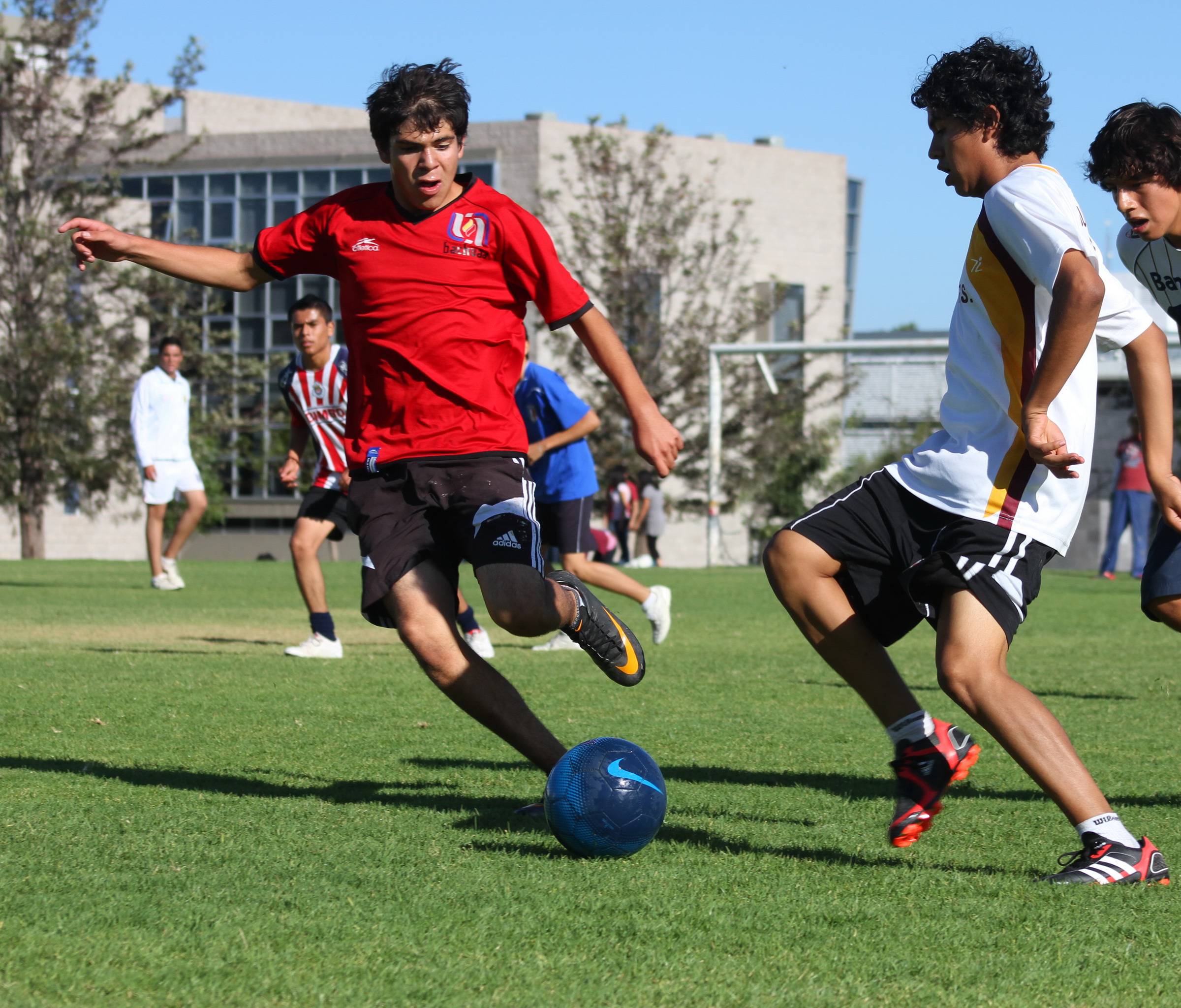 Cuida tus ojos de lesiones practicando algún deporte