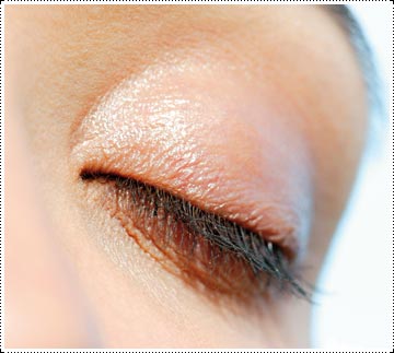 ¿Cuál es la función de los parpados?