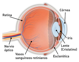¿Qué es  la Retinopatía Diabética?