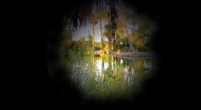 ¿Qué es la visión de túnel?